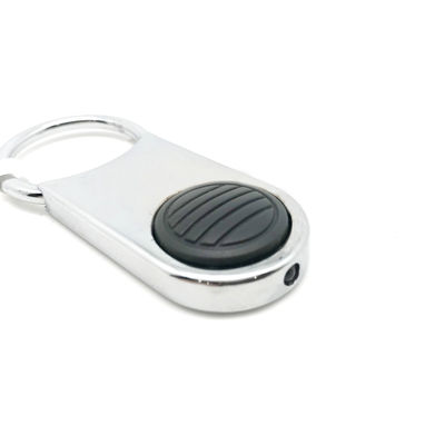 Tổ chức thực tế Steel Keychain Organizer với Logo tùy chỉnh